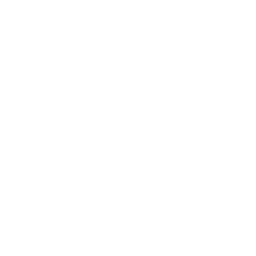 expert_icon