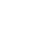 global_icon